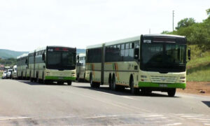 A group of articulated buses parked on the side of a road.